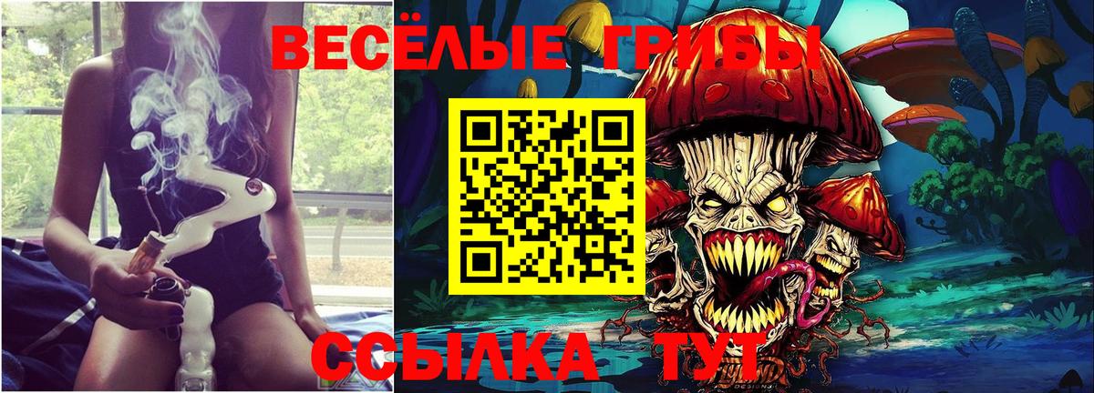 Кушва  Галлюциногенные грибы MAGIC MUSHROOMS  Вход с VPN 